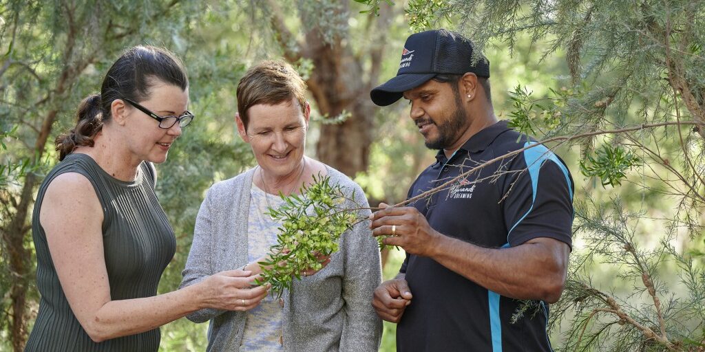 Library staff Barbara Cotter and Catherine Clark, with Nyungar and Yamatji man and artist Justin Martin are standing outside in the bush inspecting local flora from native trees, for inspiration for the TL Robertson Library artworks.