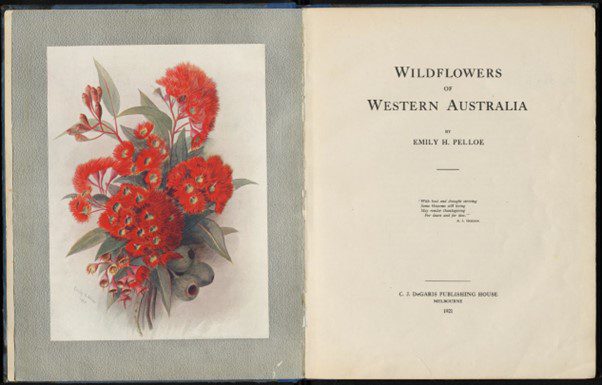 Scanned page of book Wildflowers of Western Australia